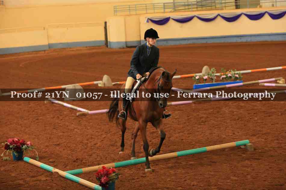 Proof Number 21YN_01057
