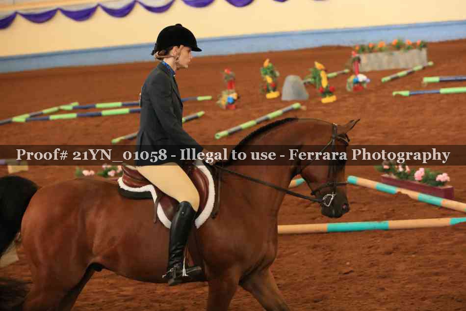 Proof Number 21YN_01058
