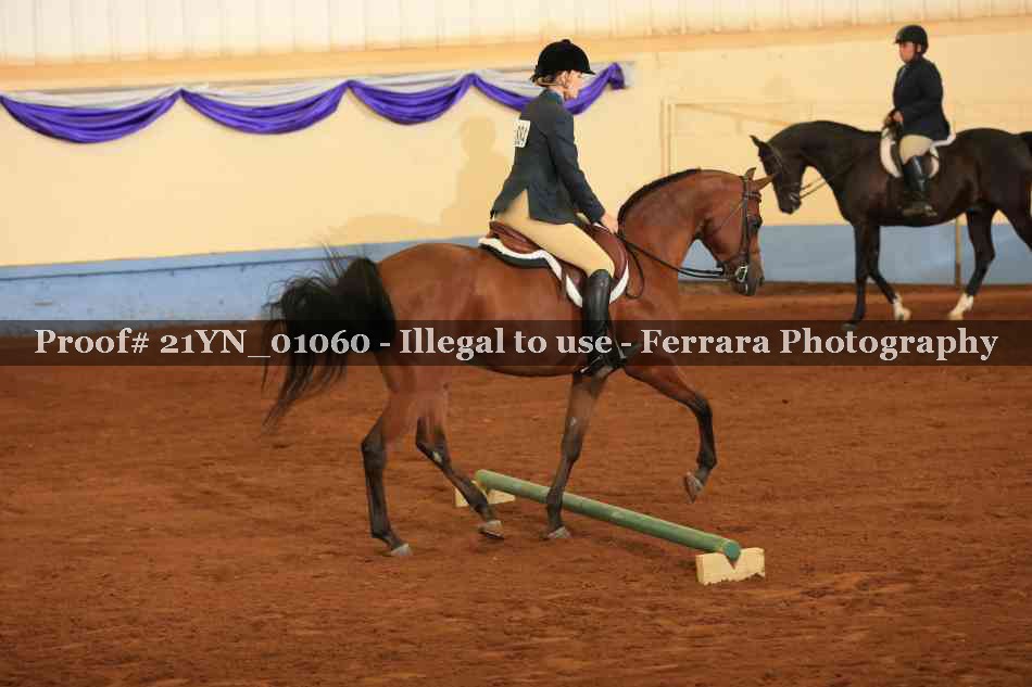 Proof Number 21YN_01060