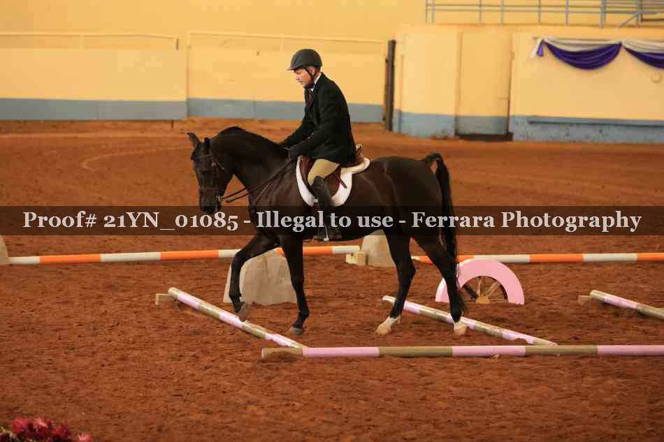 Proof Number 21YN_01085