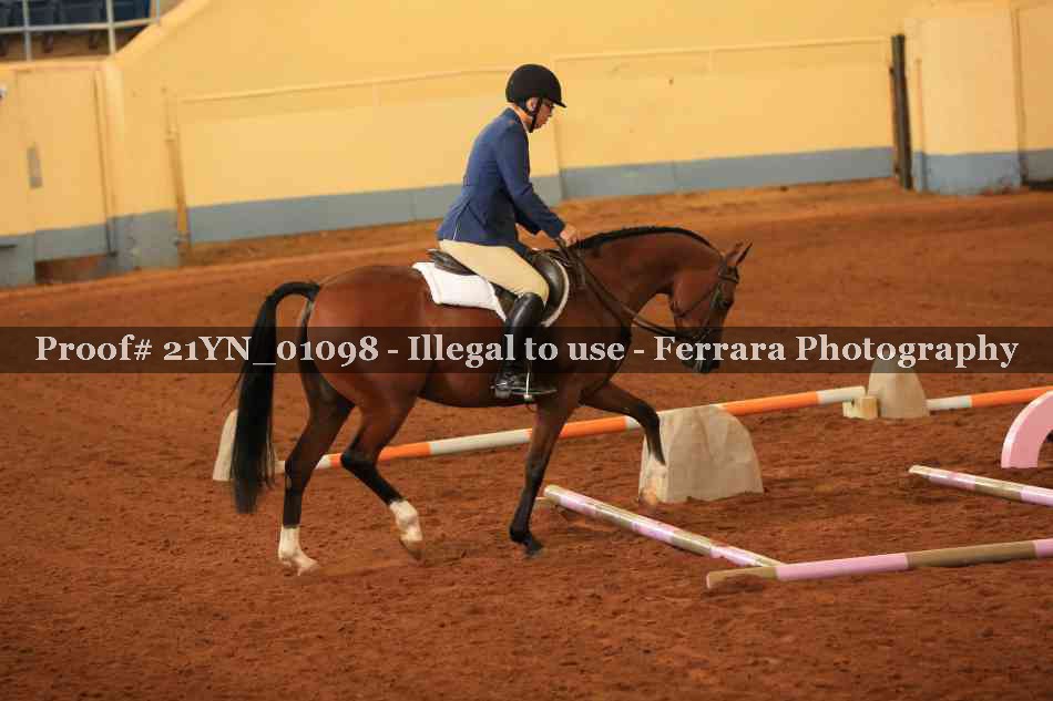 Proof Number 21YN_01098