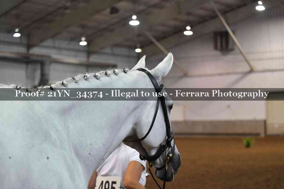 Proof Number 21YN_34374