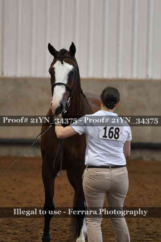 Proof Number 21YN_34375