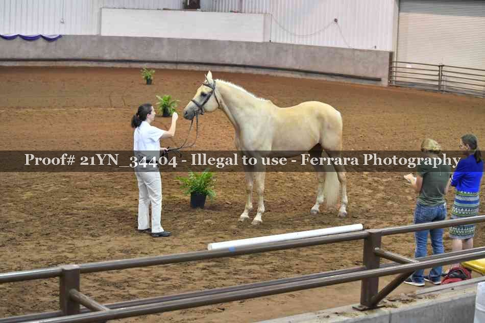 Proof Number 21YN_34404