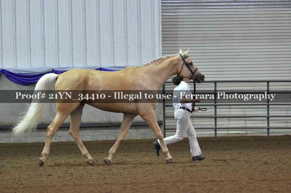 Proof Number 21YN_34410