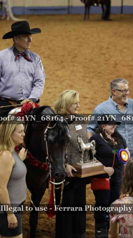 Proof Number 21YN_68164