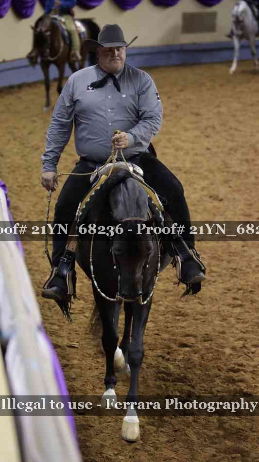 Proof Number 21YN_68236