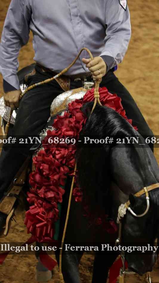 Proof Number 21YN_68269