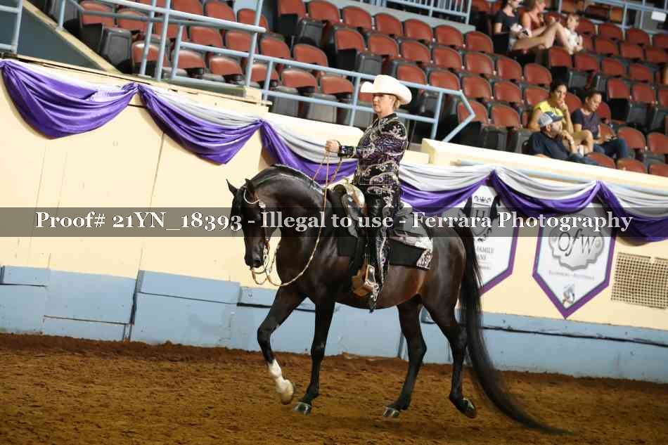 Proof Number 21YN_18393