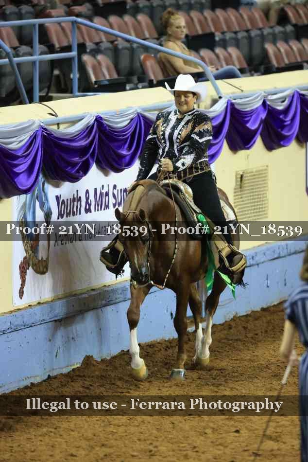 Proof Number 21YN_18539