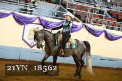 21YN_18562 thumbnail