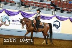 21YN_18571 thumbnail