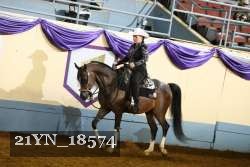 21YN_18574 thumbnail
