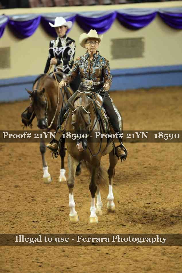 Proof Number 21YN_18590