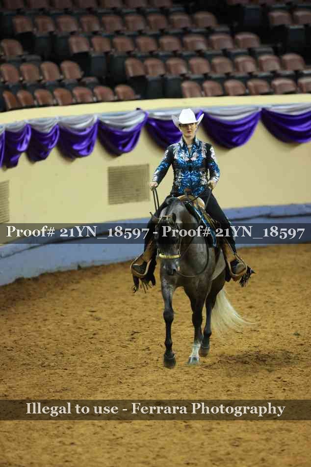 Proof Number 21YN_18597