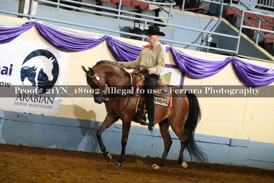 Proof Number 21YN_18602