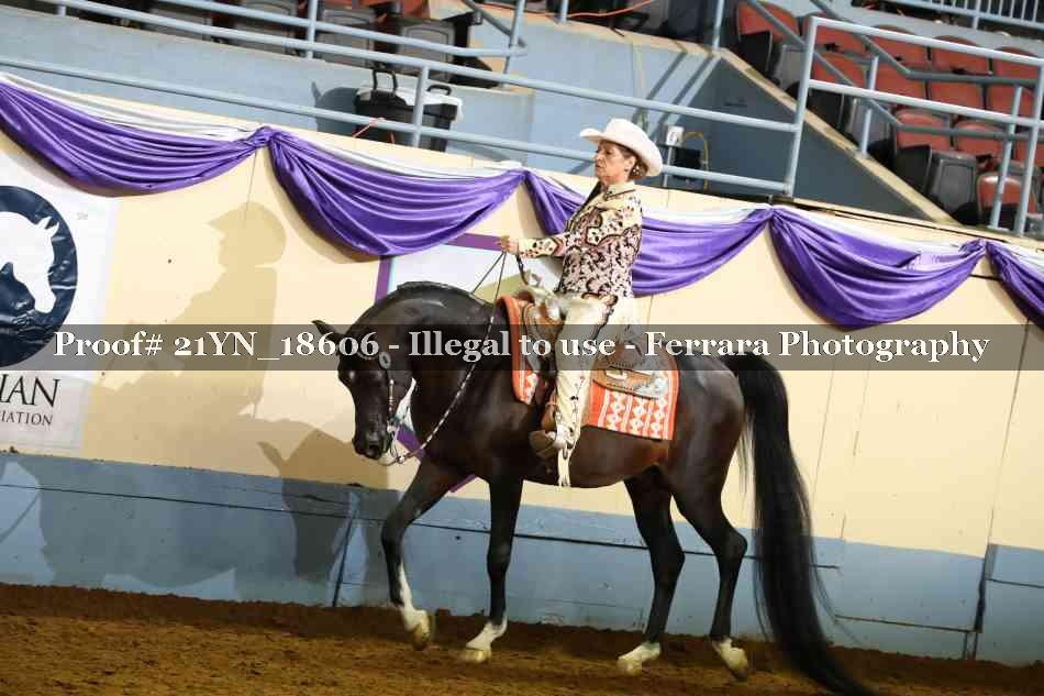 Proof Number 21YN_18606
