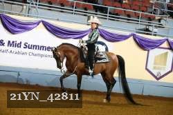 21YN_42811 thumbnail