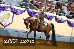 21YN_42812 thumbnail