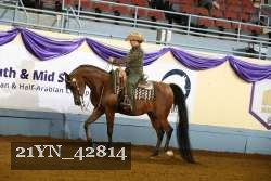 21YN_42814 thumbnail