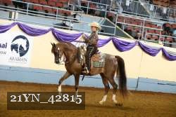 21YN_42815 thumbnail