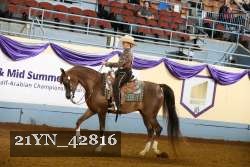 21YN_42816 thumbnail