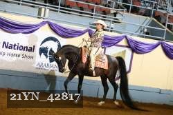 21YN_42817 thumbnail