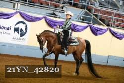 21YN_42820 thumbnail