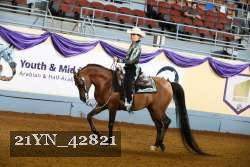 21YN_42821 thumbnail