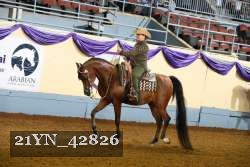 21YN_42826 thumbnail