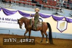 21YN_42827 thumbnail