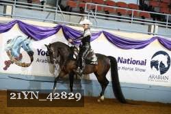 21YN_42829 thumbnail