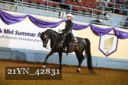 21YN_42831 thumbnail