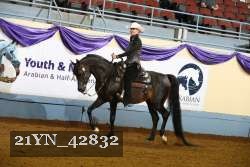 21YN_42832 thumbnail
