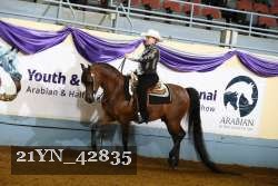 21YN_42835 thumbnail