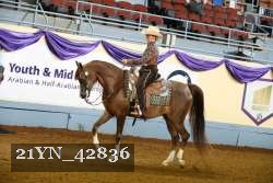 21YN_42836 thumbnail