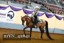 21YN_42841 thumbnail