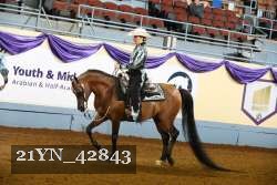 21YN_42843 thumbnail