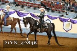 21YN_42846 thumbnail