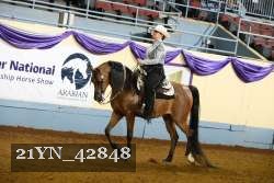 21YN_42848 thumbnail