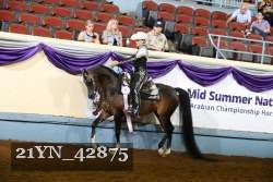 21YN_42875 thumbnail
