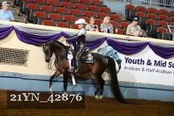 21YN_42876 thumbnail