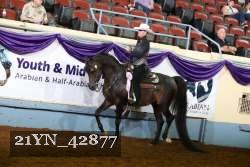21YN_42877 thumbnail