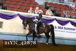 21YN_42878 thumbnail