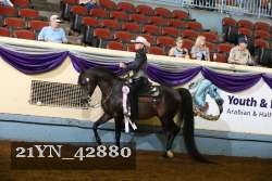 21YN_42880 thumbnail