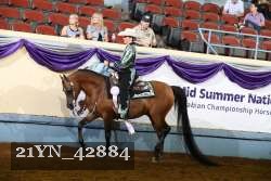 21YN_42884 thumbnail