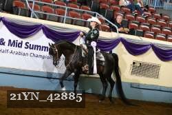 21YN_42885 thumbnail