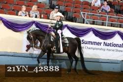 21YN_42888 thumbnail