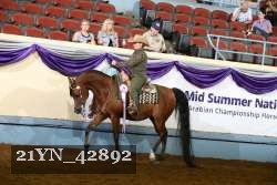 21YN_42892 thumbnail