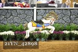 21YN_42898 thumbnail